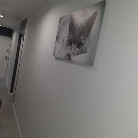 Apartment Happy Cat *